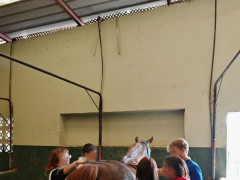 Diseño sin título (4).jpg