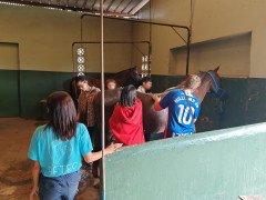 Diseño sin título (1).jpg